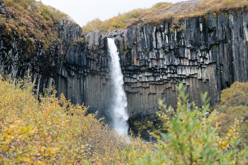 Svartifoss